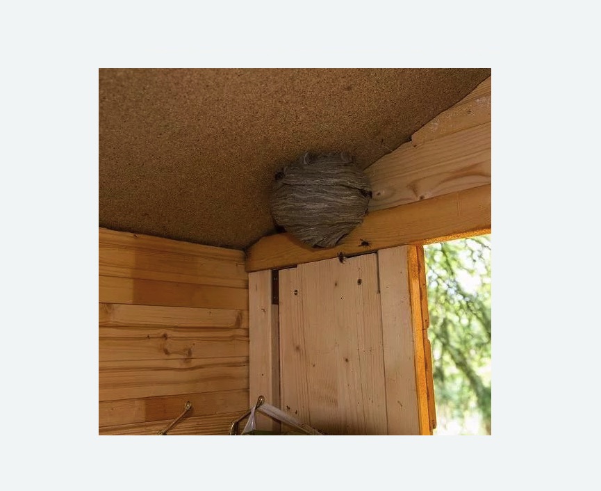 Уничтожение ОС в Можайске и Обработка осиных ульев – служба СЭС